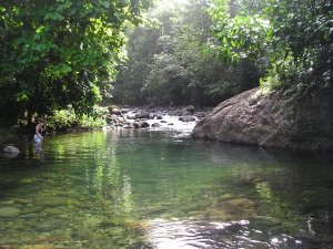 mermaid pool